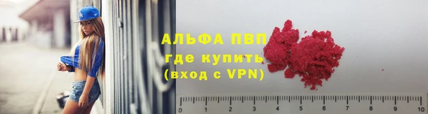 прущие крисы Козельск