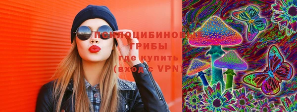 тгк Кодинск