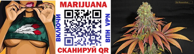 Бошки Шишки тримм  продажа наркотиков  Темников 